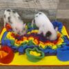 Piggy Poo and Crew Pet Snuffle Mat 4 Pack for Dogs Pigs Rabb... - Image 5