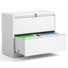 BIZOEIRON 2 Drawer Lateral File Cabinet with Lock, Metal Ver... - Image 2