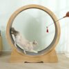 Enakshi Cat Exercise Wheel Quiet Indoor Treadmill for Walkin... - Image 9