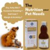 PET360 Omega 3+6 Concentrated Salmon Fish Oil for Dogs & Cat... - Image 4