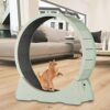 Enakshi Cat Running Wheel Treadmill Mute Trainer Wood for Ac... - Image 8