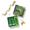 WOW Skin Science Green Tea Restoring Gift Kit for Men & Wome... - Image 2