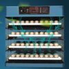 MERISHOPP Automatic Egg Incubator Household Egg Turner Hatch... - Image 5