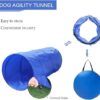 Kvittra Dog Agility Course Equipment Set, Dog Jump Training ... - Image 5