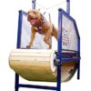 G S Paik Pace Dog Treadmills Large 6 Ft, Blue - Image 2