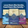 Blue Buffalo Adult Chicken & Brown Rice Dry Dog Food - Image 11