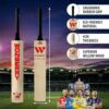 Wonberry Low Mid Profile T20 English Willow Cricket Bat Full... - Image 4