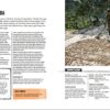 THE WORLD ATLAS OF COFFEE: FROM BEANS TO BREWING - COFFEES E... - Image 7
