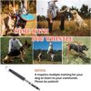Kvittra Dog Agility Course Equipment Set, Dog Jump Training ... - Image 7