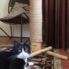 boohugger Bamboo and Jute Cat Scratching Post - Image 9