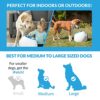 iFetch Too Interactive Ball Launcher for Dogs - Launches Sta... - Image 4