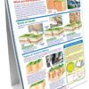 NewPath Learning 10 Piece Mastering Middle School Earth Scie... - Image 3