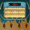 UJEAVETTE Pet Supplies- Bird Supplies- Incubators- Egg Incub... - Image 6