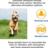 Mini Educator E-Collar ET-300 / ET-302 Dog Training Collar S... - Image 4