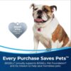 Bissell Little Green Pet Pro Portable Carpet Cleaner - Cobal... - Image 4