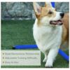 PawHut 4 Piece Dog Agility Starter Kit with Adjustable Heigh... - Image 7
