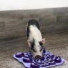 Piggy Poo and Crew Pet Snuffle Mat 4 Pack for Dogs Pigs Rabb... - Image 4