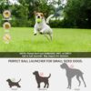 WookYumy Automatic Dog Ball Launcher, Dog Ball Thrower with ... - Image 8