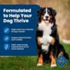 Blue Buffalo Adult Chicken & Brown Rice Dry Dog Food - Image 6