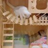 AGRICUE Cat Bridge Cat Climbing Frame Bridge Use for Cat Cag... - Image 5