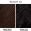 THE SHELL HAIR 3×5 Silk Hair Topper - Human Hair Extensions ... - Image 8