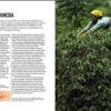 THE WORLD ATLAS OF COFFEE: FROM BEANS TO BREWING - COFFEES E... - Image 5